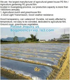 200 Micron Uv Resistant Film Greenhouse Perforated Mulch Agricultural Film Vegetable Planting supplier