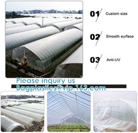 200 Micron Uv Resistant Film Greenhouse Perforated Mulch Agricultural Film Vegetable Planting supplier