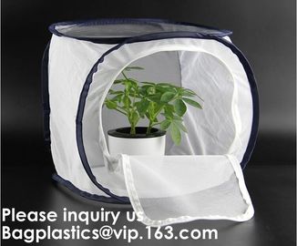 Agricultural Greenhouses for Tomato Planting,Pop-Up Tomato Plant Protector Serves as a Mini Greenhouse to Accelerate Gro supplier