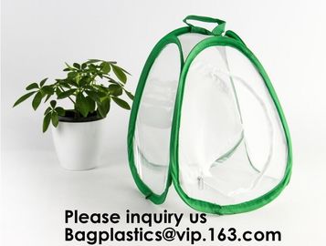 Agricultural Greenhouses for Tomato Planting,Pop-Up Tomato Plant Protector Serves as a Mini Greenhouse to Accelerate Gro supplier