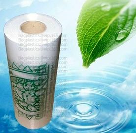 Supermarket Shopping Fresh Fruit Vegetable Packaging Plastic Bag On Roll Polythene Bags, Ldpe Bags, Hdpe Bags, Food Serv supplier