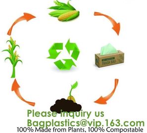 Home Compostable Eco Green Bioplastic Food Storage Resealable PLA Bags,Food, Gift, Household, Restaurant, Store, Grocery supplier