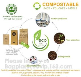 Biodegradale Compostable Packaging Roll Film Slide Zipper Garment Bag Food Packing Bag 3 side seal bag Kraft Paper Bag supplier