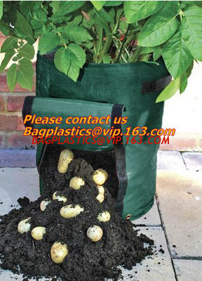 China Horticulture, NURSERY, PLANTER, SEED, PLASTIC GROW BAGS, HYDROPONICS, FLOWERPOTS, BLACK factory