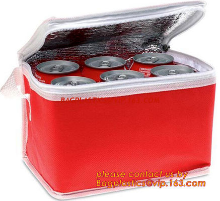 China Promotional Insulated Cooler Bag for Frozen Food, promotional ice bag cooler bags high quality promotional wholesale factory