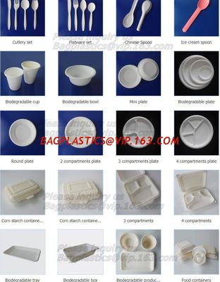China spoon, folk, knife, tray, disposable plate, deli tray, biodegradable breakfast tray, Biodegradable Disposable Food Tray factory