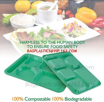 China fast food boxes custom logo printing, Compostable plastic food container, eco-product renewable 100% compostable PLA foo factory