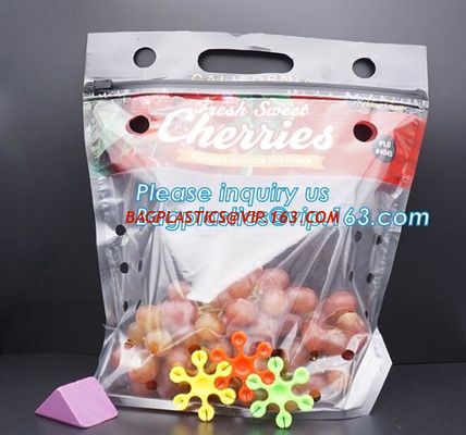 China Resealable Fruits Vegetable Plastic Zip Lock Packaging Bags, OPP CPP Printed Grape Bags For Fruit, Fancy Zip-lock Plasti factory