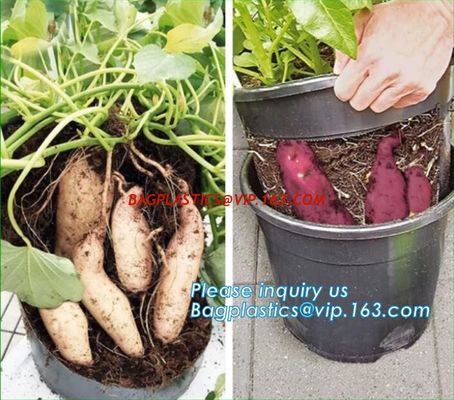 China Tomato Potato Carrot Onion Peanut Growing Pot Garden Planter Pot,PP potato grow pot planting bag, bagplastics, bagease factory