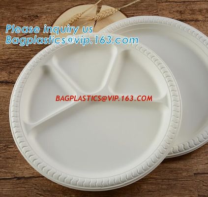 China Eco-Friendly biodegradable compostable sugarcane bagasse 7inch food plate,disposable bagasse sugarcane plate 9inch pack factory