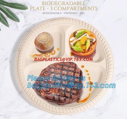 China Eco Friendly Biodegradable Sugarcane Bagasse Plates Disposable,Sugarcane Bagasse Pulp Disposable Biodegradable Plate For factory
