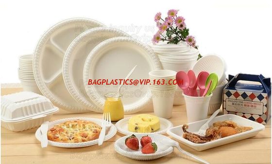 China 100% Biodegradable and compostable sugarcane pulp packaging disposable paper plate,sugarcane baggase oval paper plate ba factory