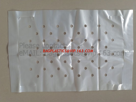 China Clear Poly Sheeting Lay Flat Tubing Layflat Tubing Tubing Bags Auto Bags Polythene Sheet Polythene Packaging Film, Bagea factory