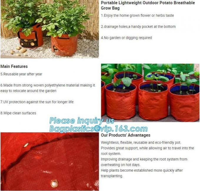 1 Gal 2 3gal 5gal 10gal Black Plastic Grow Planting Greenhouse Vegetable Nursery Bags Garden - Gardening In A Plastic Bag 1 Gal 2 3gal 5gal 10gal Black Plastic Grow Planting Greenhouse Vegetable Nursery Bags Garden - Gardening In A Plastic Bag