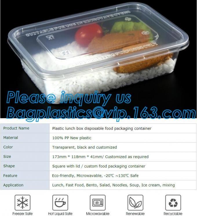 takeaway food container disposable plastic lunch bento box,square PLA